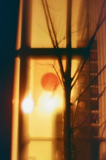 1 (15).jpg
