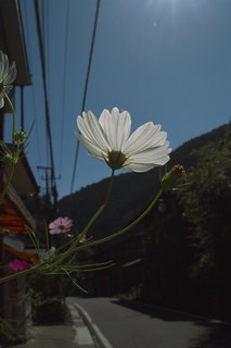 48734762466_9906d7bd8f_k.jpg