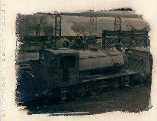 48946501857_c0080eeaa9_k (1).jpg