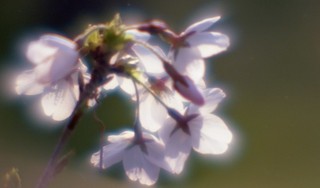 49707185363_9aa4c0740f_c.jpg