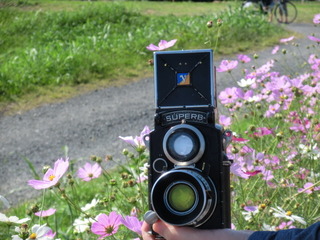 CIMG4657.JPG