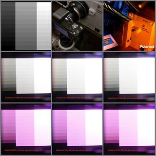 Collage_Fotor_gray2.jpg
