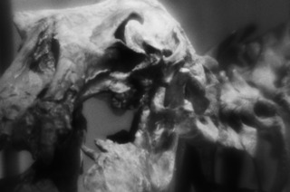 DSC01053.jpeg