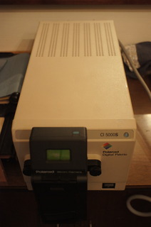 DSC02562.JPG