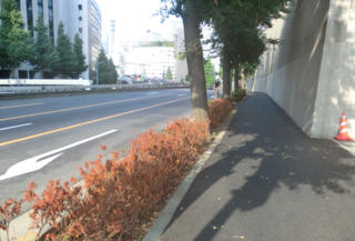さつき1.png