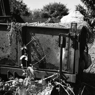 analog-film-84-years-old-eye--voigtlnder-superb-1933--skopar-75mm-f35-with-y-filter--kodak-tri-x-400-location-shingashi-river-side-saitama-japan-october-7-2017_37493413740_o.jpg