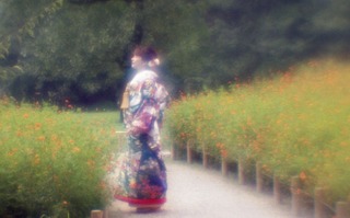 analog-film-canon-al-1-diy-single-lens-using-a-x35-vixens-pocket-lupe-p45n-magnifying-glass--kodak-ultramax-400-location-hama-rikyu-gardens-tokyo-japan-august-25-2017_36110003984_o.jpg