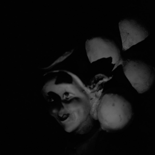 clown-rolleiflex-sl66-with-ttl-meter-finder--filmed-by-rollei-hft-planar28--80-kodak-tri-x-400--my-home-asaka-shi-japan-february-14-2016_24760906609_o.jpg