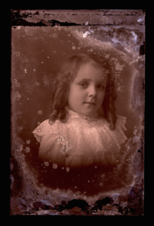 dryplate1.png