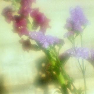 exakta-rtl1000-with-homemade-lens-using-a-x2-magnifier-lens-lomography-redscale-xr-50-200-location-in-my-home-asaka-shi-saitama-japan-february-13-2017_32107771004_o.jpg