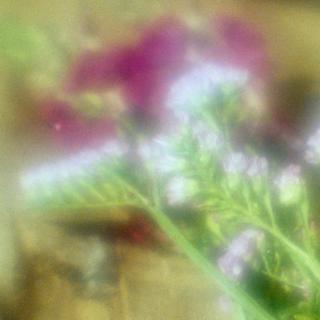 exakta-rtl1000-with-homemade-lens-using-a-x2-magnifier-lens-lomography-redscale-xr-50-200-location-in-my-home-asaka-shi-saitama-japan-february-13-2017_32570396630_o.jpg