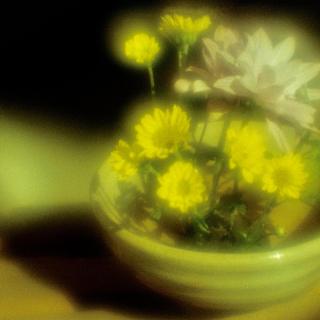 exakta-rtl1000-with-homemade-lens-using-a-x2-magnifier-lens-lomography-redscale-xr-50-200-location-in-my-home-asaka-shi-saitama-japan-february-13-2017_32826834861_o.jpg