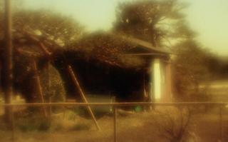 exakta-rtl1000-with-homemade-lens-using-a-x2-magnifier-lens-lomography-redscale-xr-50-200-location-nambata-castle-park-in-saitama-saitama-japan-february-26-2017_33087111122_o.jpg