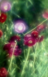 exakta-rtl1000-with-homemade-single-lens-using-a-x2-magnifier-lens--fujicolor-100-location-konosu-saitama-japan-may-20-2017_34628591342_o.jpg