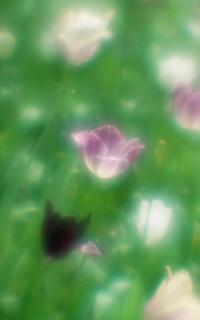 exakta-rtl1000-with-homemade-single-lens-using-a-x2-magnifier-lens--fujicolor-100-location-showa-commemorative-national-government-park--a-national-government-park-in-akishima-tokyo-may-3-2017_33780213024_o.jpg