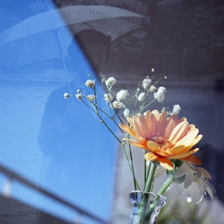 in-memory-of-my-mother-multi-exposure-rolleiflex-sl66-with-ttl-meter-finder--filmed-by-rollei-hft-planar28--80-kodak-ektar-100-location-my-home-some-pictures-are-multi-exposed-asaka-shi-japan-february-14-2016_25008923282_o.jpg