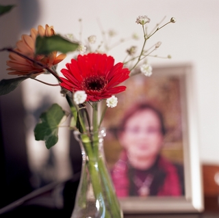 in-memory-of-my-mother-rolleiflex-sl66-with-ttl-meter-finder--filmed-by-rollei-hft-planar28--80-kodak-ektar-100-location-my-home-asaka-shi-japan-february-7-2016_24432829504_o.jpg