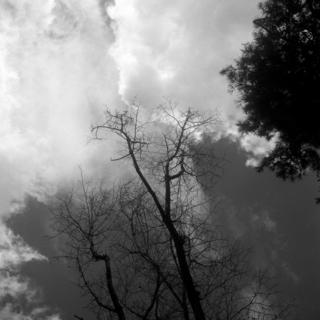 meopta-flexaret-iv-belar-f80mm-kodak-tri-x-400-location-wako-jurin-koen-wako-forest-park-saitama-september-3-2016_29339165520_o.jpg