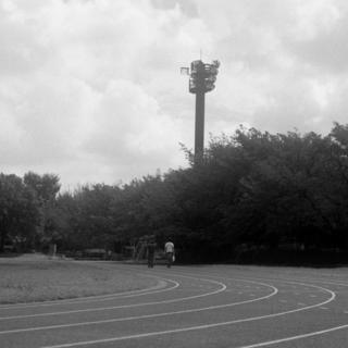 meopta-flexaret-iv-belar-f80mm-kodak-tri-x-400-location-wako-jurin-koen-wako-forest-park-saitama-september-3-2016_29548921921_o.jpg
