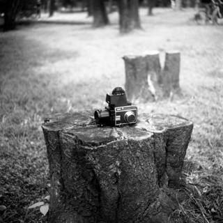 meopta-flexaret-iv-belar-f80mm-kodak-tri-x-400-location-wako-jurin-koen-wako-forest-park-saitama-september-3-2016_29594815306_o.jpg