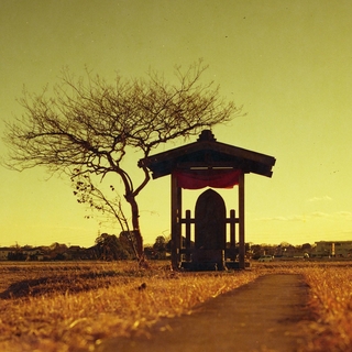 rolleiflex-sl66--filmed-by-rollei-hft-planar28--80-lomography-redscale-xr-50-200-location-nambata-castle-park-in-saitama-december-29-2015_24245773915_o.jpg