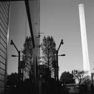 rolleiflex-sl66-filmed-by-rollei-hft-planar28--80-kodak-tri-x-400-location-adachi-park-of-living-things--ikebukuro-tokyo--december-16-2016_32351674182_o.jpg