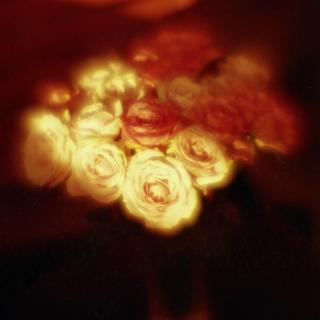 rolleiflex-sl66-with-homemade-lens-using-a-x2-magnifier-lens-lomography-redscale-xr-50-200--location-in-my-home-asaka-shi-saitama-japan-december-24-2016_32176103961_o.jpg