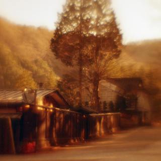 rolleiflex-sl66-with-homemade-lens-using-a-x2-magnifier-lens-lomography-redscale-xr-50-200--location-nikko-tochigi-pref-january-7-2017_31558198084_o.jpg
