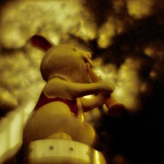 rolleiflex-sl66-with-homemade-lens-using-a-x2-magnifier-lens-lomography-redscale-xr-50-200-location-ueno-park-tokyo--october-7-2016_30507635920_o.jpg