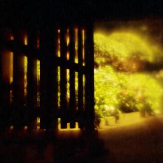 rolleiflex-sl66-with-homemade-lens-x2-magnifying-glass-filmed-by-lomography-redscale-xr-50-200-location-hakusan-shrine-hydrangea-festival-tokyo-japan-june-17-2016_27201204484_o.jpg