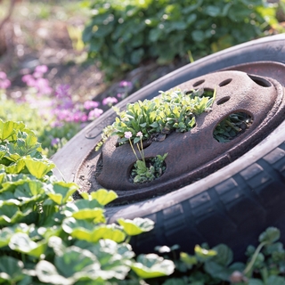 rolleiflex-sl66-with-ttl-meter-finder--filmed-by-carl-zeiss-s-planar-156-f120mm--kodak-ektar-100-location-kurome-river-side-asaka-shi-japan-march-27-2016_26119002211_o.jpg