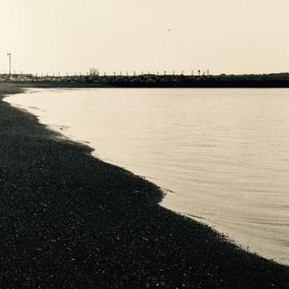 rolleiflex-sl66-with-ttl-meter-finder--filmed-by-carl-zeiss-s-planar-156-f120mm--kodak-tri-x-400-partly-transfer-processed--tokyo-bayside-park-tsubasa-koen-near-haneda-airport-may-6-20163_26381338434_o.jpg