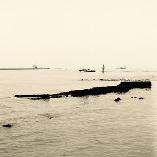 rolleiflex-sl66-with-ttl-meter-finder--filmed-by-carl-zeiss-s-planar-156-f120mm--kodak-tri-x-400-partly-transfer-processed--tokyo-bayside-park-tsubasa-koen-near-haneda-airport-may-6-2016_26382516793_o.jpg
