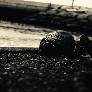 rolleiflex-sl66-with-ttl-meter-finder--filmed-by-carl-zeiss-s-planar-156-f120mm--kodak-tri-x-400-partly-transfer-processed--tokyo-bayside-park-tsubasa-koen-near-haneda-airport-may-6-2016_26382554003_o.jpg