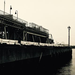 rolleiflex-sl66-with-ttl-meter-finder--filmed-by-carl-zeiss-s-planar-156-f120mm--kodak-tri-x-400-partly-transfer-processed--tokyo-bayside-park-tsubasa-koen-near-haneda-airport-may-6-2016_26918211321_o.jpg