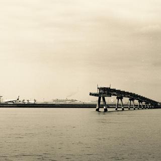 rolleiflex-sl66-with-ttl-meter-finder--filmed-by-carl-zeiss-s-planar-156-f120mm--kodak-tri-x-400-partly-transfer-processed--tokyo-bayside-park-tsubasa-koen-near-haneda-airport-may-6-2016_26953455956_o.jpg