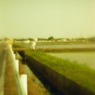 rolleiflex-sl66-with-ttl-meter-finder--filmed-by-homemade-lens-using-a-x2-magnifier-lens-lomography-redscale-xr-50-200-location-nambata-castle-park-in-saitama-may-14-2016_26608301173_o.jpg