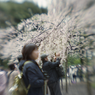 rolleiflex-sl66-with-ttl-meter-finder--filmed-by-homemade-lens-using-a-x23-magnifier-lens-a-x20-magnifier-lens-etc--fuji-pro-160-ns--rikugi-en-asakusa-tokyo-japan-april-1-2016_26221050441_o.jpg