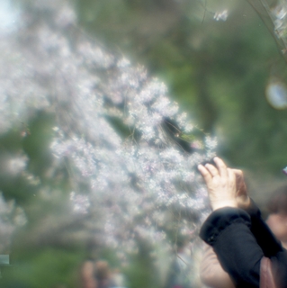 rolleiflex-sl66-with-ttl-meter-finder--filmed-by-homemade-lens-using-a-x23-magnifier-lens-a-x20-magnifier-lens-etc--fuji-pro-160-ns--rikugi-en-asakusa-tokyo-japan-april-1-2016_26261538246_o.jpg