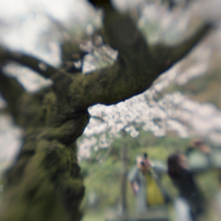 rolleiflex-sl66-with-ttl-meter-finder--filmed-by-homemade-lens-using-a-x23-magnifier-lens-a-x20-magnifier-lens-etc--fuji-pro-160-ns--rikugi-en-asakusa-tokyo-japan-april-1-2016_26287346545_o.jpg