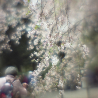 rolleiflex-sl66-with-ttl-meter-finder--filmed-by-homemade-lens-using-a-x23-magnifier-lens-a-x20-magnifier-lens-etc--fuji-pro-160-ns--rikugi-en-asakusa-tokyo-japan-april-1-2016_26287389325_o.jpg