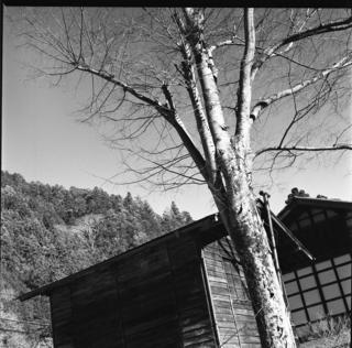 rolleiflex-sl66-with-ttl-meter-finder--filmed-by-rollei-hft-planar28--80-ilford-delta-400--yellow-filter-location-foot-of-mt-asama-nagano-and-nanmoku-village-gunma-japan-january-10-2016_24523723366_o.jpg