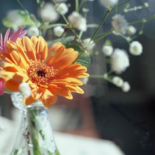 rolleiflex-sl66-with-ttl-meter-finder--filmed-by-rollei-hft-planar28--80-kodak-ektar-100-location-my-home-some-pictures-are-multi-exposed-asaka-shi-japan-february-14-201616_24496500944_o.jpg