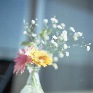 rolleiflex-sl66-with-ttl-meter-finder--filmed-by-rollei-hft-planar28--80-kodak-ektar-100-location-my-home-some-pictures-are-multi-exposed-asaka-shi-japan-february-14-2016_24759606679_o.jpg