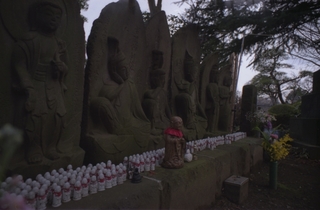 statues-of-buddha_16891078442_o.jpg