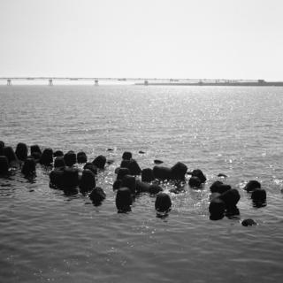 voigtlnder-superb-1933--skopar-75mm-f35-with-y-filter--kodak-tri-x-400--location-keihinjima-tsubasa-park-tokyo-japan-april-16-2017_34046455161_o.jpg