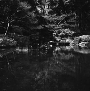 voigtlnder-superb-1933--skopar-75mm-f35-with-y-filter--kodak-tri-x-400-location-musashi-kyuryo-national-government-park-saitama-japan-april-2-2017_33067514594_o.jpg