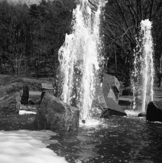 voigtlnder-superb-1933--skopar-75mm-f35-with-y-filter--kodak-tri-x-400-location-musashi-kyuryo-national-government-park-saitama-japan-april-2-2017_33753782332_o.jpg