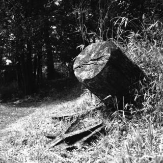 voigtlnder-superb-1933--skopar-75mm-f35-with-y-filter--kodak-tri-x-400-location-musashi-kyuryo-national-government-park-saitama-japan-april-2-2017_33753877692_o.jpg