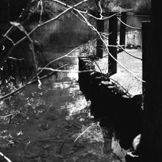voigtlnder-superb-1933--skopar-75mm-f35-with-y-filter--kodak-tri-x-400-location-musashi-kyuryo-national-government-park-saitama-japan-april-2-2017_33910956725_o.jpg
